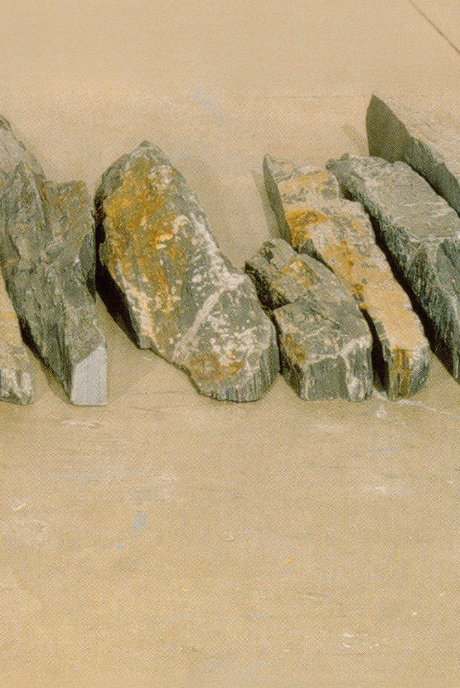 STONE LINE BY RICHARD LONG