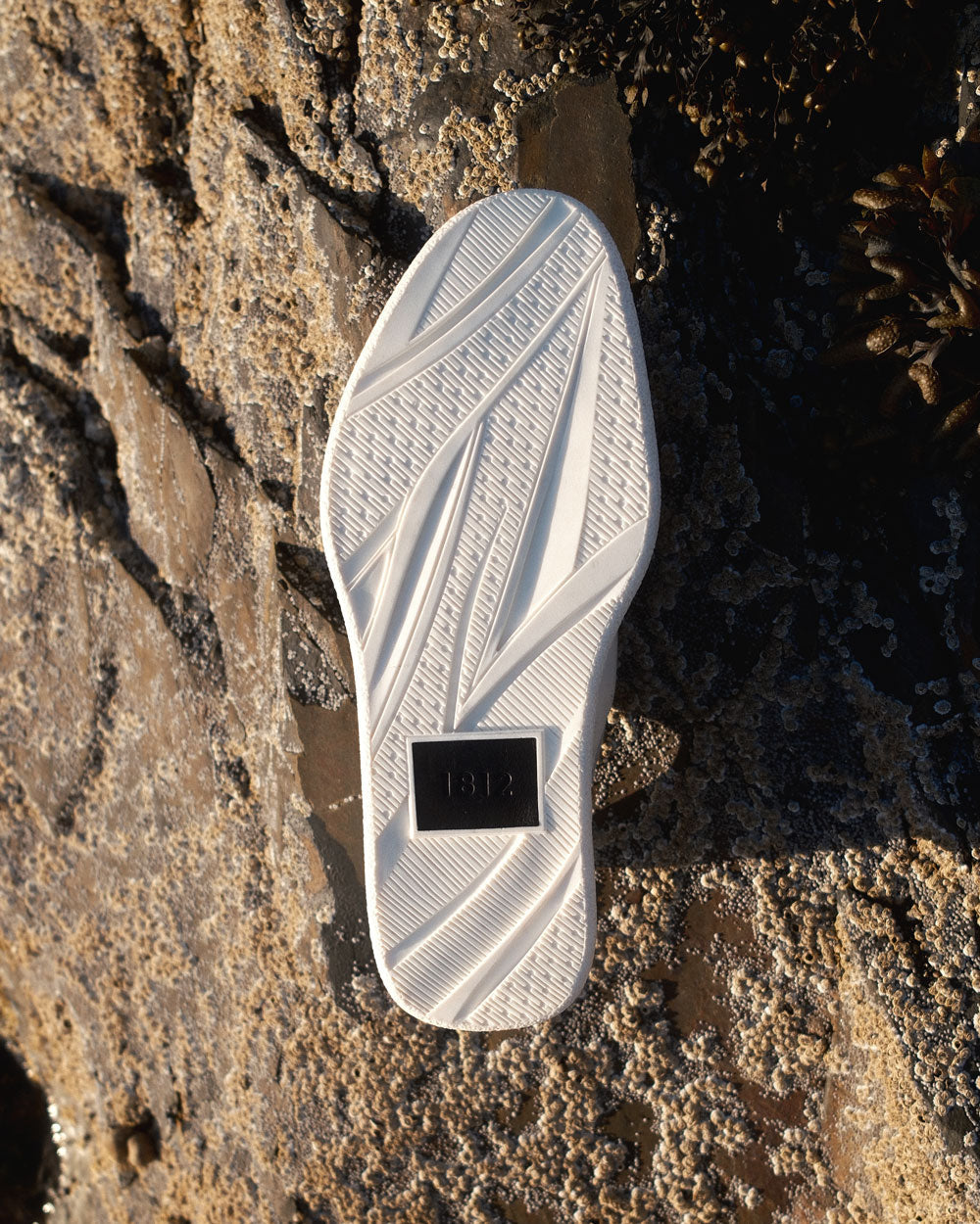 THE SOLE BENEATH EVERYTHING