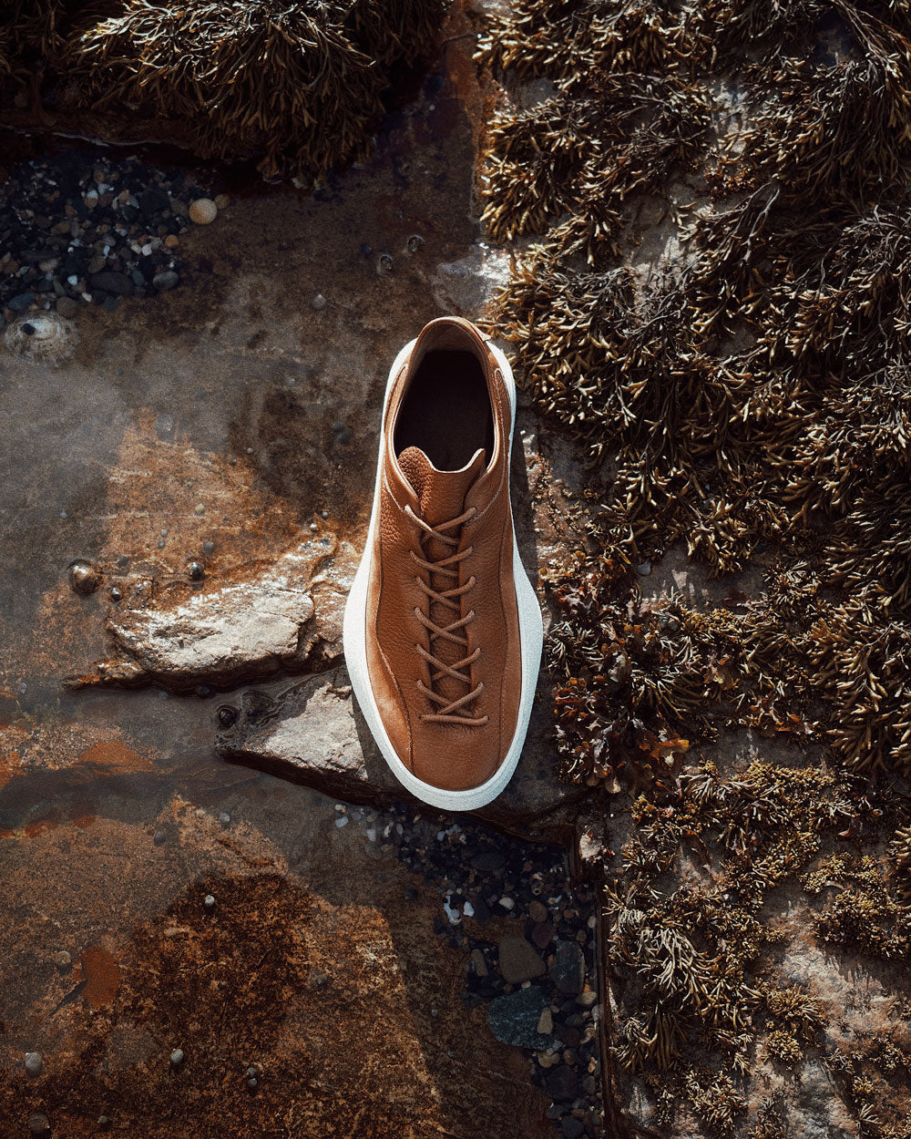 THE ERA OF THE HYBRID SNEAKER